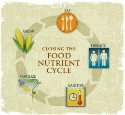 Food_Nutrient_Cycle_cropped